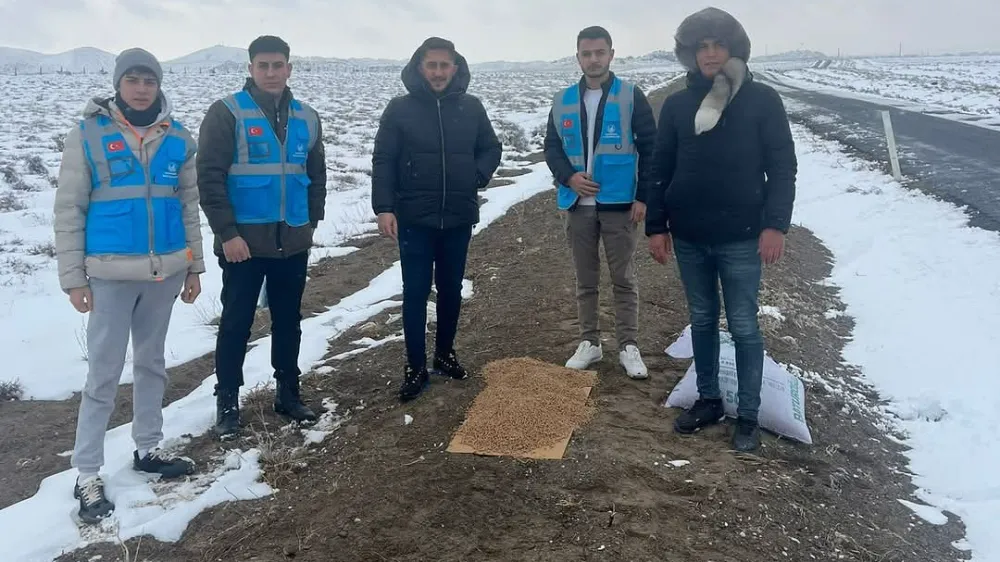 Karapınar Ülkü Ocakları sokak hayvanlarını unutmadı!