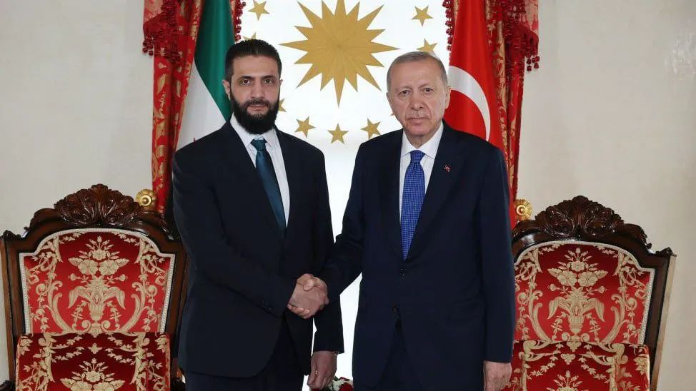 Erdoğan: 