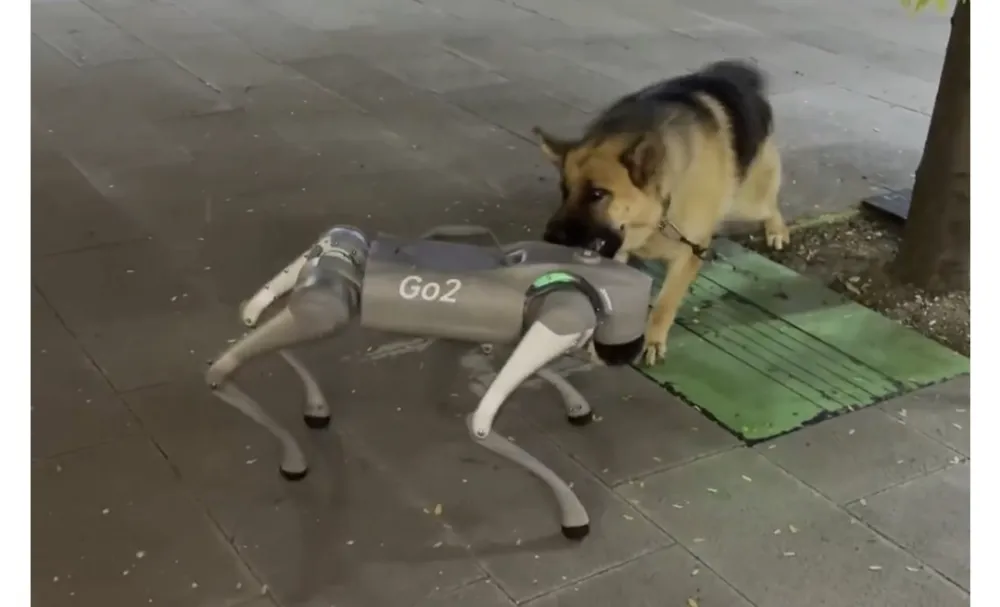 İşte RoboKurt