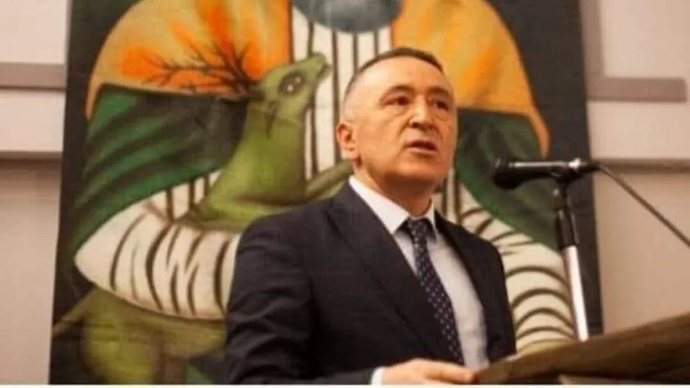 Türk: 
